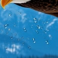 thumbnail image 4 of RKSupls Wildlife Eagle Shower Curtain, Valentine's Day Waterproof Shower Curtain with Hooks for Home Bathtub Bathroom Decor Washable Fabric Curtains,90x180cm, 4 of 6