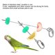 thumbnail image 3 of 2 Pack Stainless Steel Parrot Bird Food Holder Fruit Meat Vegetable Fork, 3 of 4