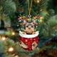 thumbnail image 1 of Adornos Navideños Xihbxyly para Perros Regalos y Medias Encantadoras, 1 of 1