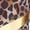 Brown, variant on Raenseen Girls Kids Gymnastics Dance Outfit One Shoulder Long Sleeve Dancewear Leopard Color Block Bodysuit Jumpsuit Black 16