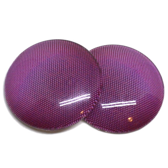 Burgundy Fly Insect Bug Compound Glass Eyes