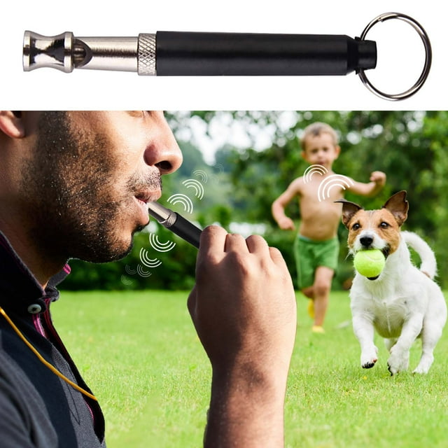 Silent Dog Whistle for Training, Adjustable Frequency, 304 Stainless Steel, Anti-Barking Device, Long Range Up to 1000 Meters, Safe for All Dog Breeds
