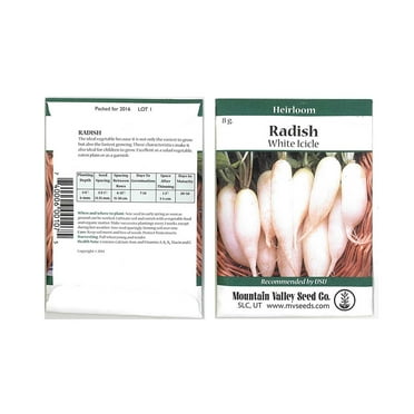 White Icicle Radish Seeds - 8 Gram Packet - Heirloom Garden Seeds, Non-GMO - Vegetable Gardening and Micro Greens - Mild Radishes