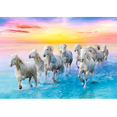 thumbnail image 2 of Rompecabezas Trefl 500 piezas Softclick Caballos Galopando Trefl 37289, 2 of 2