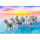 thumbnail image 2 of Rompecabezas Trefl 500 piezas Softclick Caballos Galopando Trefl 37289, 2 of 2