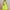 Green, variant on Women 2 Piece Outfits Sleeveless Crop Top High Waist Long Skirt Set