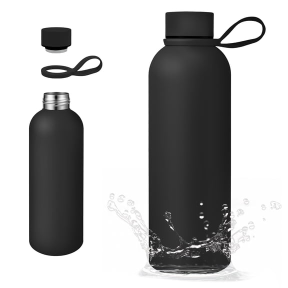 Grusce 16.9 oz/500ml Stainless Steel Water Bottle, Leakproof Insulated Water Bottle with Handle for Sports and Travel