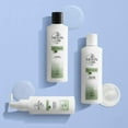 thumbnail image 2 of Nioxin Hair Care Products (Hair Care:6.7oz Nioxin Scalp Relief Cleansing Shampoo;), 2 of 2