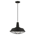 thumbnail image 2 of 41184-04 Livex Lighting Metal Shade - 1 Light Mini Pendant in Coastal Style - 14 Inches wide by 16 Inches high-Black Finish    -Traditional, 2 of 11