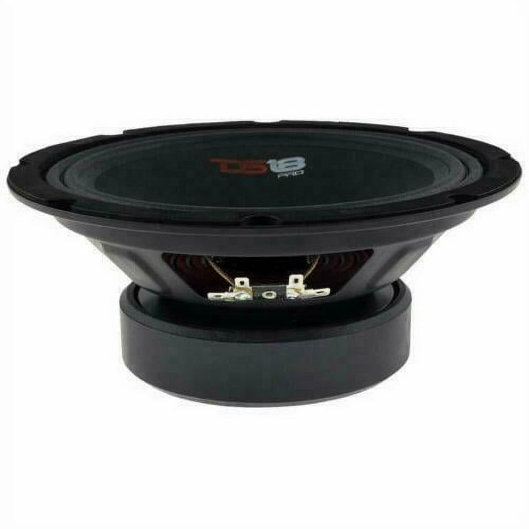 Ds18 10 cheap inch midrange