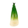 thumbnail image 5 of HOMEMAXS Green Simulated Bamboo Shoot Model Child 24.00X10.00X8.00CM, 5 of 8