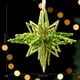thumbnail image 3 of Colgante de estrella de adorno navideño | Polvo de lentejuelas verdes | Decoración colgante brillante para árbol de Navidad • Acento festivo de 13x13cm • Decoración navideña llamativa, 3 of 3