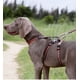 thumbnail image 4 of TRUELOVE Pet Best Double H Trail Runner No-Pull Dog Harness 3M Reflective with Premium Material Small Medium Large Dogs YH1804 ShopWise Round, 4 of 11