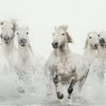 thumbnail image 3 of White Horses by Irene Suchocki Running Wild Horses Photo Canvas Art, 3 of 4