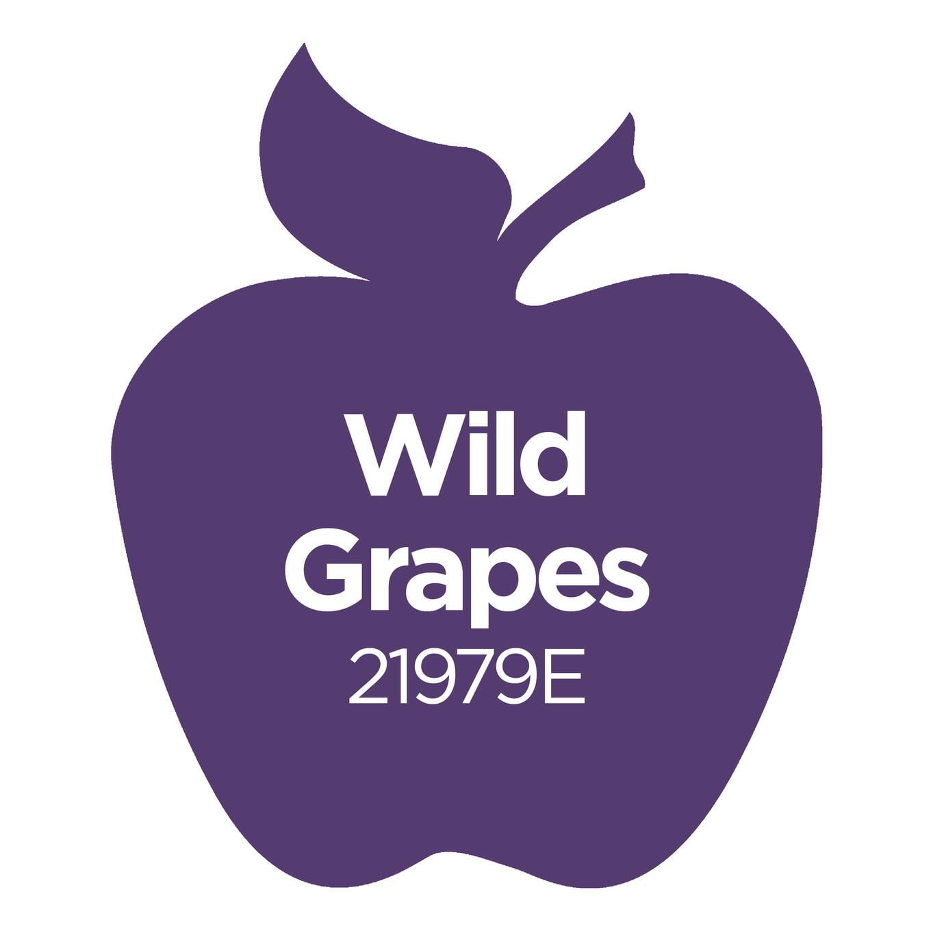 (2 pack) Apple Barrel Multi-Surface Acrylic Craft Paint, Satin Finish, Wild Grapes, 2 fl oz