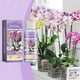 thumbnail image 4 of Cultivador de plantas de orquídeas Prolonga el período de floración Follaje de orquídeas Solución nutritiva verde brillante 50 ml Cultivador de orquídeas, 4 of 9
