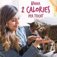 thumbnail image 4 of Fruitables Cat Treats, Healthy Low Calorie Crunchy Cat Treats with Real Salmon & Cranberry, High Protein, Limited Ingredients, 2.5 oz, 5 Pack, 4 of 6