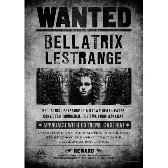 MightyPrint 'Harry Potter Wanted Bellatrix Lestrange' Graphic Art Print MP17240363