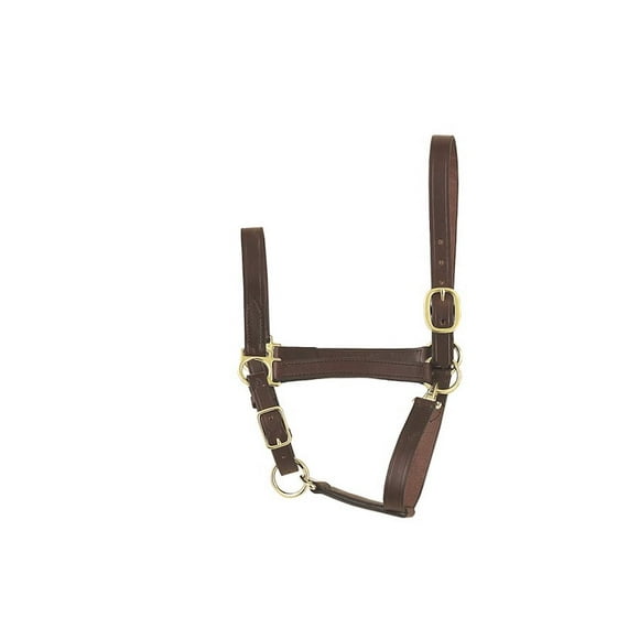 Perri's Economy Leather Halter (Havana, Yearling)
