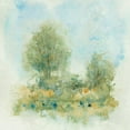 thumbnail image 2 of OToole, Tim 12x12 Black Ornate Wood Framed with Double Matting Museum Art Print Titled - Fluid Landscape II, 2 of 4