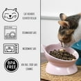 thumbnail image 4 of Park Life Designs Oscar Tilted Elevated Ceramic Cat Dish Set for Food & Water, 2-Pack, 4 of 4