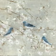thumbnail image 2 of Swatland, Sally 26x26 White Modern Wood Framed Museum Art Print Titled - Blue Bird Melody, 2 of 4