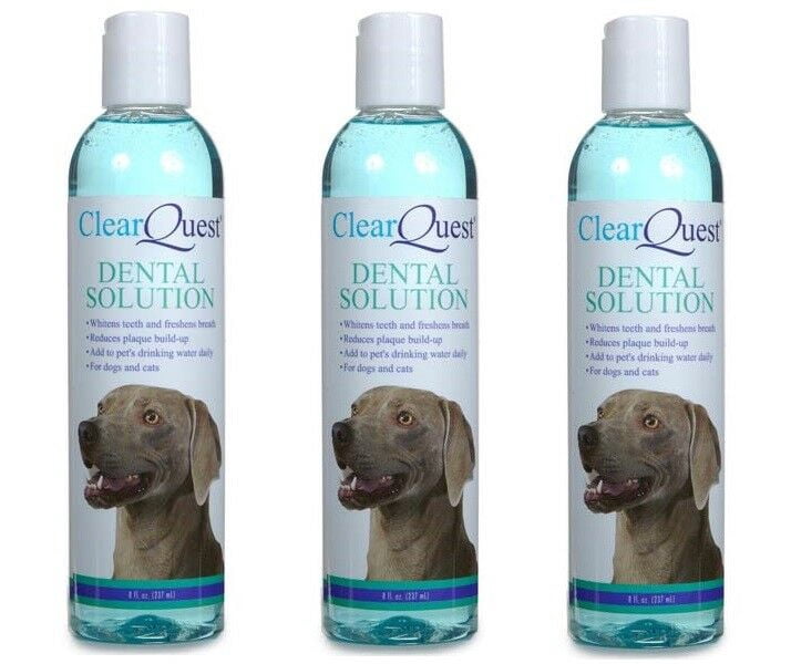 dog teeth cleaning solution