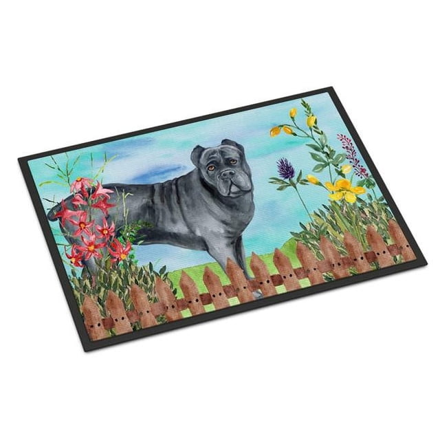 Carolines Treasures CK1256JMAT Cane Corso Spring Indoor or Outdoor Mat - 24 x 36 in.