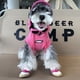 thumbnail image 3 of Ropa para perros primavera otoño Schnauzer osos Teddy perro Shiba estampado letra gradiente sin mangas sudadera con capucha para mascotas 강아지옷 одежда для собак, 3 of 5