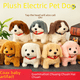 thumbnail image 4 of Muñeco de peluche eléctrico de conejo y perro de simulación para niños, juguete con sonido y movimiento, se puede llamar hombre y mujer eléctricos, 4 of 5