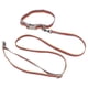 thumbnail image 4 of Juego de collar y correa para perro, collar ajustable para mascotas de algodón y poliéster y cuerda de tracción para pasear perros, 4 of 8
