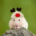 thumbnail image 5 of Hamster Hat Animals Tiny Hat Guinea Pig Snake Hat with Adjustable Strap Small Cute Hand Knitted Mini Party Hats for Stuffed Animals Christmas Holiday Party, 5 of 6