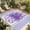 Purple, variant on 4' x 6' Outdoor Rug, Eucalyptus Gray Outdoor Washable Rug Large Floor Carpet, Stripes Bottle Flower Cactus Plant Non Shedding Area Rug for Outside Patio RV Porch Deck Balcony Camping Living Room