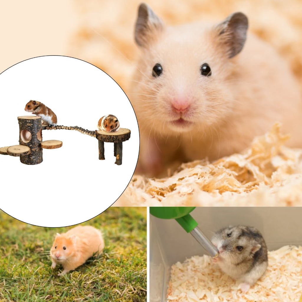 Hamster Platform Cage Ladder Toy Small Climbing Ladder Cage Grinding Jumping Exercise Platform