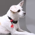 thumbnail image 4 of PetSigns ID Plaquita de Identificación para Mascotas QR & NFC PetSigns ID PTSG-A0, 4 of 5