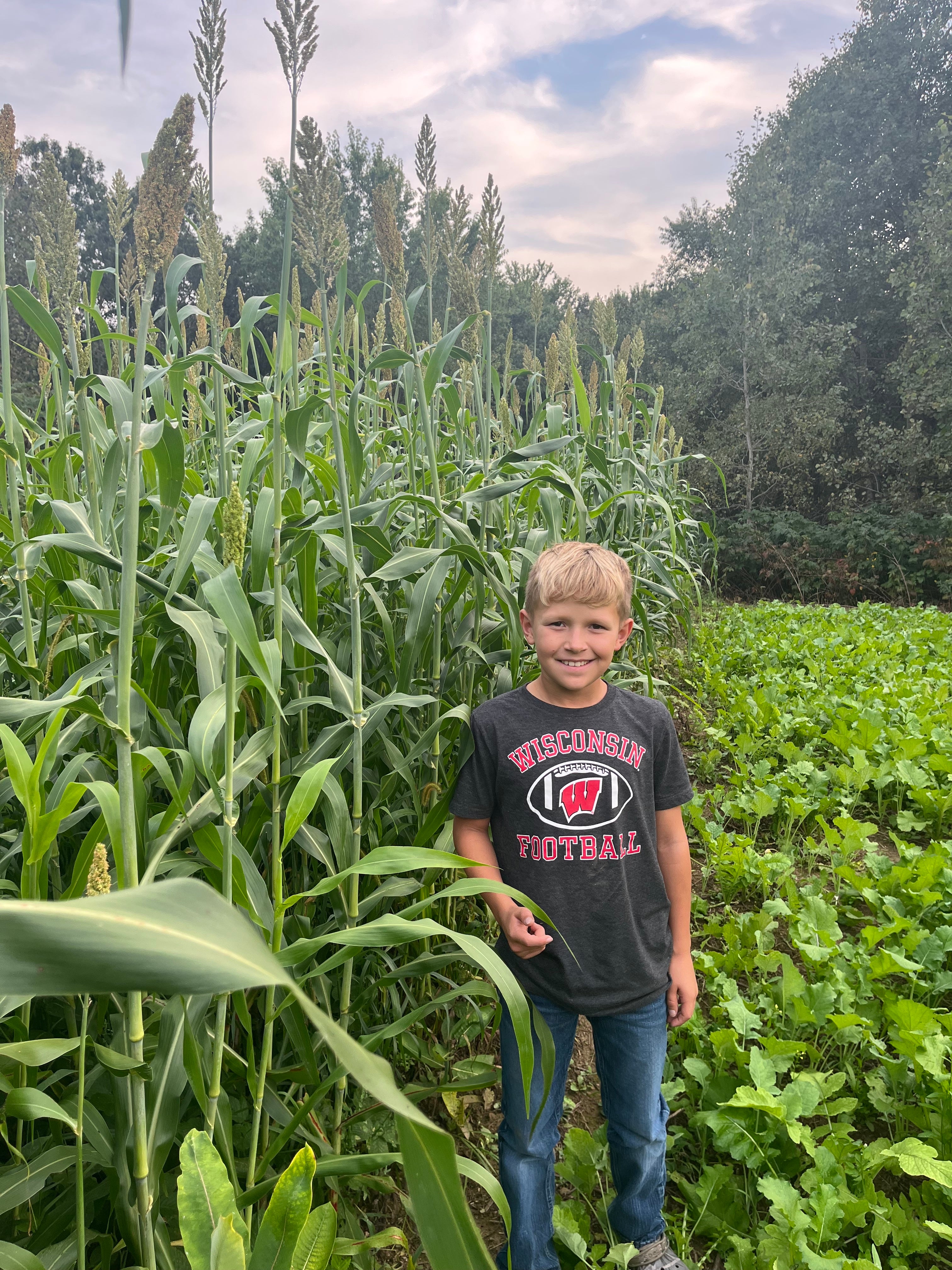 Hale Habitat & Seed Food Plot Screen Seed Mix, Tall & Thick Cover for Hunting & Habitat, 1000 Feet