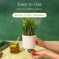 thumbnail image 3 of Lifelines Plant Diffuser with ClickWick Essential Oil Blend, Rechargeable & Waterless Aromatherapy Diffuser for Home and Office, Modern Grass Planter, 3 of 6