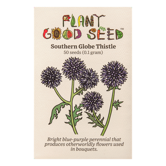 Southern Globe Thistle Seeds