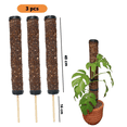 thumbnail image 3 of TUTORES PARA PLANTAS VEYOTAS CILINDRO, 3 of 4