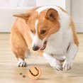 thumbnail image 1 of Wzzjkit Pet Toys Hexagonal Dog Toys Supplies Cats and Dogs Teething Sticks Relieve Boredom Chew Toys New Molar Rod and Teeth Cleaning Effect TPR Material, 1 of 7