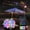 10M, variant on Smart Color Changing String Lights, Connectable Globe String Lights Plug in with Remote & APP Control, Outdoor Waterproof Fairy Lights for Tent Camping Bedroom Classroom Party Decor