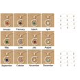 thumbnail image 1 of Collier Femme Forme Étoile Lune Strass Brillant Collier pour Cadeau, 1 of 8