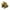 Brown, variant on Toys Clearance 2023! CWCWFHZH Transforming Dinosaur Tank Toy Collision Transforming Press Launchable Children Toy Education Toys