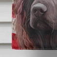 thumbnail image 4 of Irish Water Spaniel American Flag Flag Canvas House Size, 4 of 4