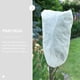 thumbnail image 4 of WEUVEB 8Ud Fundas Para Plantas De Resistentes A Y Lluvia En Tela No Tejida, 4 of 8