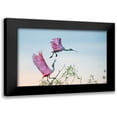 thumbnail image 1 of Mei, C. 18x13 Black Modern Framed Museum Art Print Titled - Rosy pair (Roseate Spoonbills), 1 of 5