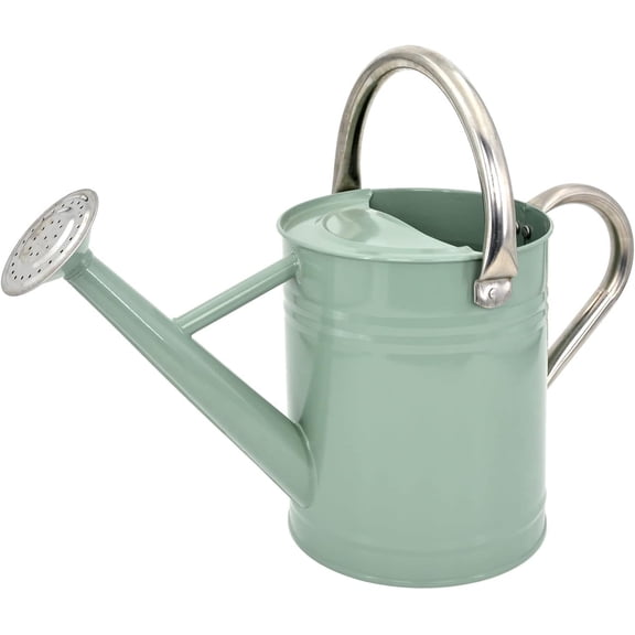 Metal Watering Can for Outdoor Plants, Galvanized Steel Watering Can with Removable spout, 1 Gallon,Perfect Home & Garden Décor Cream Green