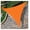 Orange, variant on Sun Shade Sail Triangle 16'x16'x16' Shade Canopy UV Resistant Outdoor Patio Cover for Pergola Backyard Deck Garden Porch Shades, Brown