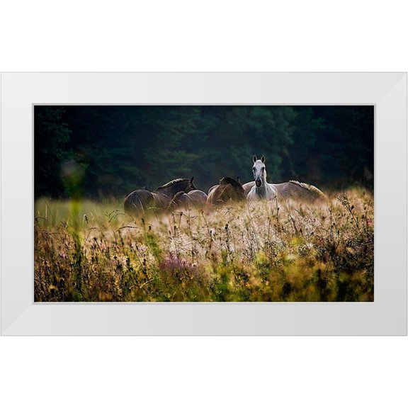 Malovrh, Milan 14x10 White Modern Wood Framed Museum Art Print Titled - our garden