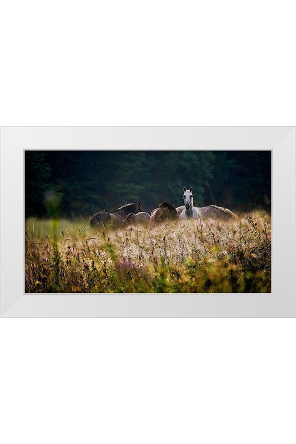 Malovrh, Milan 14x10 White Modern Wood Framed Museum Art Print Titled - our garden
